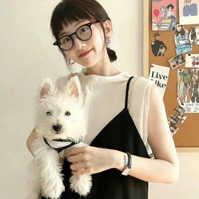国土安全第三季