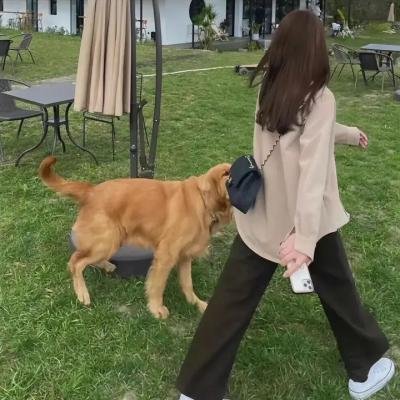 沉默之屋